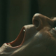 Image for article titled The Rite is your new midnite movie cheesefest